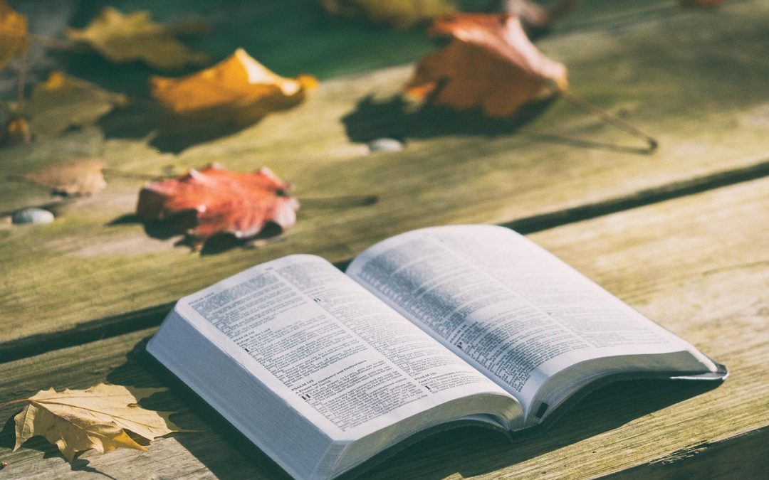 Fall Bible Study